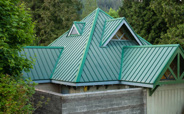 Best Skylight Installation and Repair  in Port Oconnor, TX