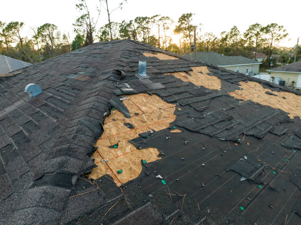 Best Asphalt Shingles Roofing  in Port Oconnor, TX