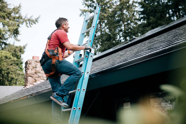 Best Chimney Flashing Repair  in Port Oconnor, TX